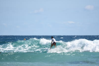 DSC_7963.JPG