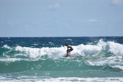 DSC_7970.JPG