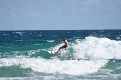 DSC_7975.JPG