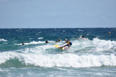 DSC_7982.JPG