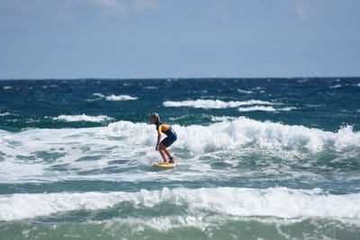 DSC_7987.JPG