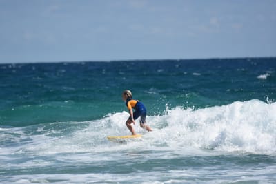 DSC_7995.JPG
