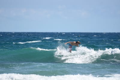 DSC_8014.JPG