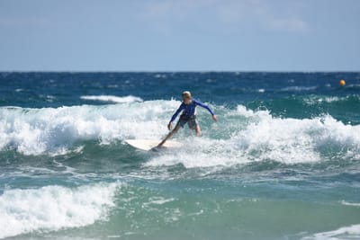 DSC_8071.JPG