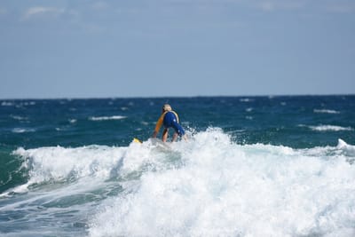 DSC_8085.JPG