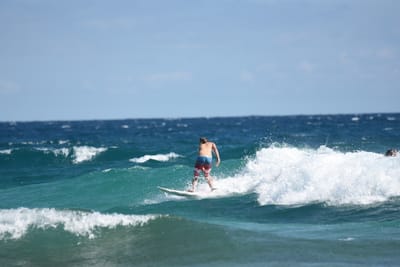 DSC_8118.JPG
