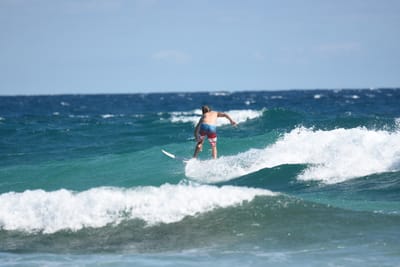 DSC_8119.JPG
