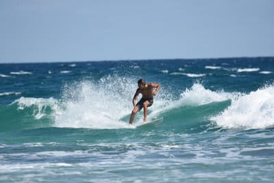 DSC_8127.JPG
