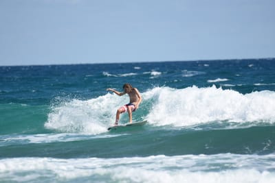 DSC_8137.JPG