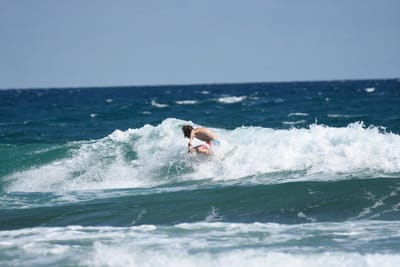 DSC_8139.JPG