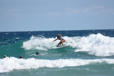 DSC_8173.JPG