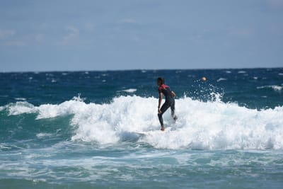 DSC_8174.JPG