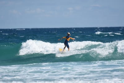 DSC_8192.JPG