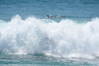 DSC_0167.JPG