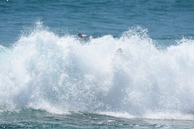 DSC_0168.JPG