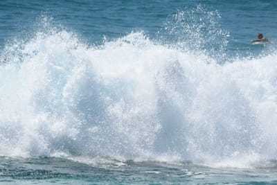 DSC_0169.JPG