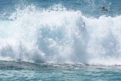 DSC_0170.JPG