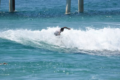 DSC_0300.JPG