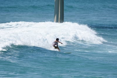 DSC_0305.JPG