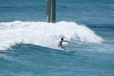 DSC_0306.JPG