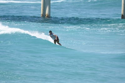 DSC_0309.JPG