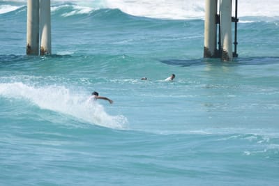 DSC_0310.JPG