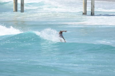 DSC_0319.JPG