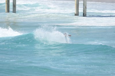 DSC_0320.JPG