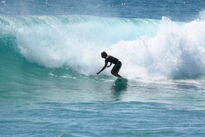 DSC_0340.JPG