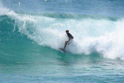 DSC_0345.JPG