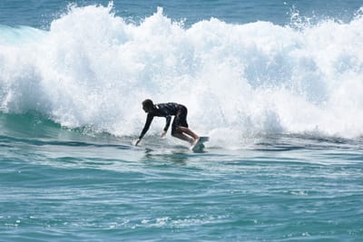 DSC_0412.JPG