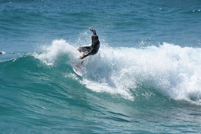 DSC_0417.JPG