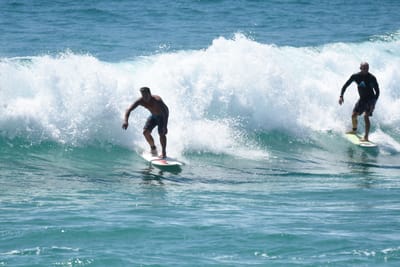DSC_0419.JPG