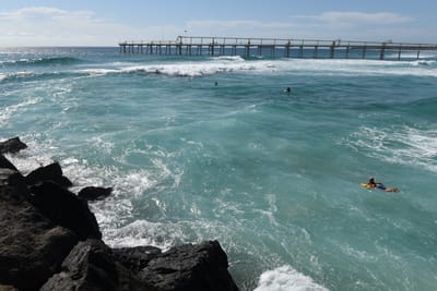 DSC_0953.JPG