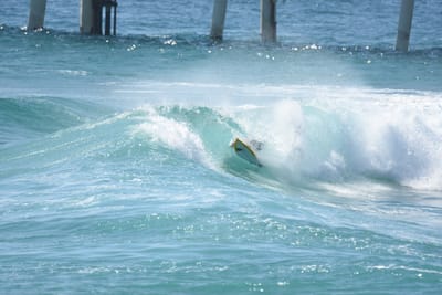 DSC_8236.JPG