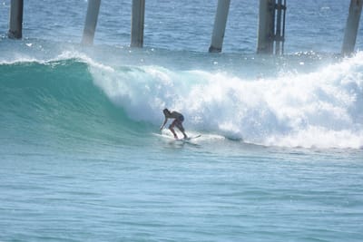 DSC_8239.JPG