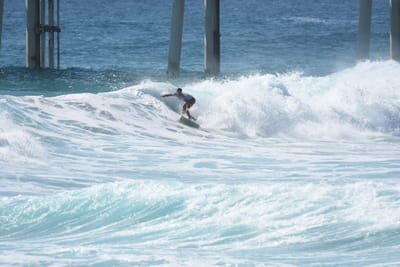 DSC_8255.JPG