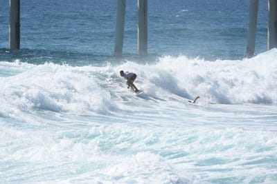 DSC_8258.JPG