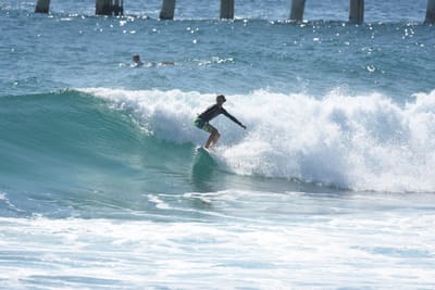 DSC_8268.JPG