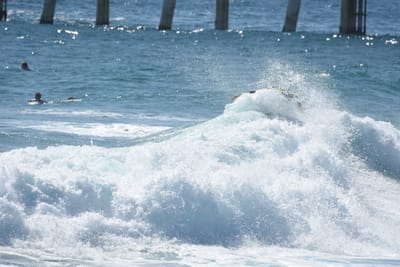 DSC_8272.JPG