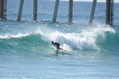 DSC_8298.JPG