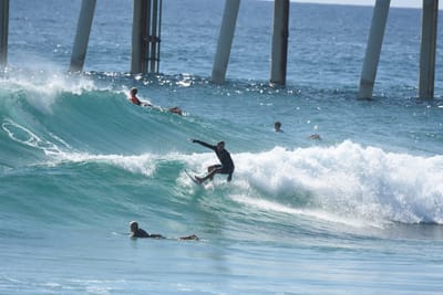 DSC_8305.JPG