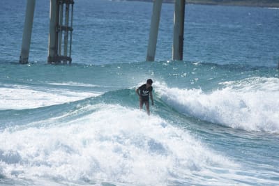 DSC_8326.JPG