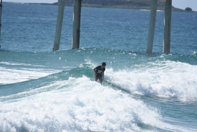 DSC_8327.JPG