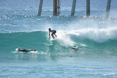 DSC_8345.JPG