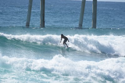 DSC_8356.JPG