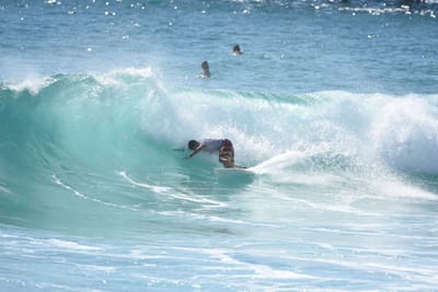 DSC_8382.JPG