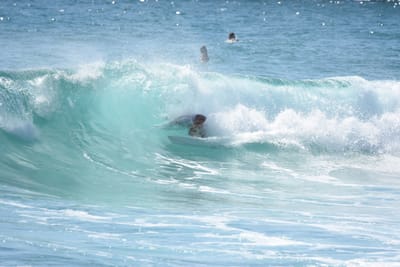 DSC_8383.JPG
