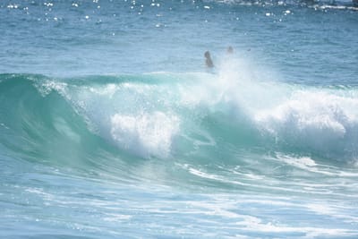 DSC_8385.JPG
