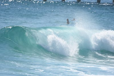 DSC_8386.JPG